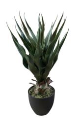 Leaf Tropical Yucca Artificial Plant 70cm Agave Large in Green - thumbnail 3