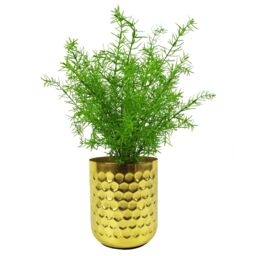 Leaf 45cm Artificial Asparagus Fern Plant in Green - thumbnail 2