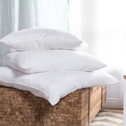 Wyld and Coco Set 2 White Microfibre Pillows Soft Hypoallergenic Side and Back