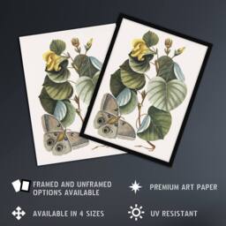 "Artery8 Ketmia Hibiscus Flower & Butterfly Catesby Wall Art Poster Print - Size: W12"" x H16""" - thumbnail 2