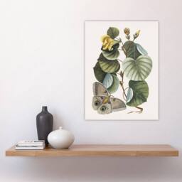 "Artery8 Ketmia Hibiscus Flower & Butterfly Catesby Wall Art Poster Print - Size: W12"" x H16""" - thumbnail 4