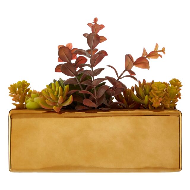 Orsina Mixed Succulents Fiori with Ceramic Gold Pot - image 1