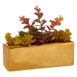 Orsina Mixed Succulents Fiori with Ceramic Gold Pot - thumbnail 2