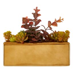 Orsina Mixed Succulents Fiori with Ceramic Gold Pot