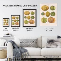 "Artery8 Melons Fruit Vintage Kitchen Ernst Benary Framed Wall Art Print in White - Size: W12"" x H16""" - thumbnail 3