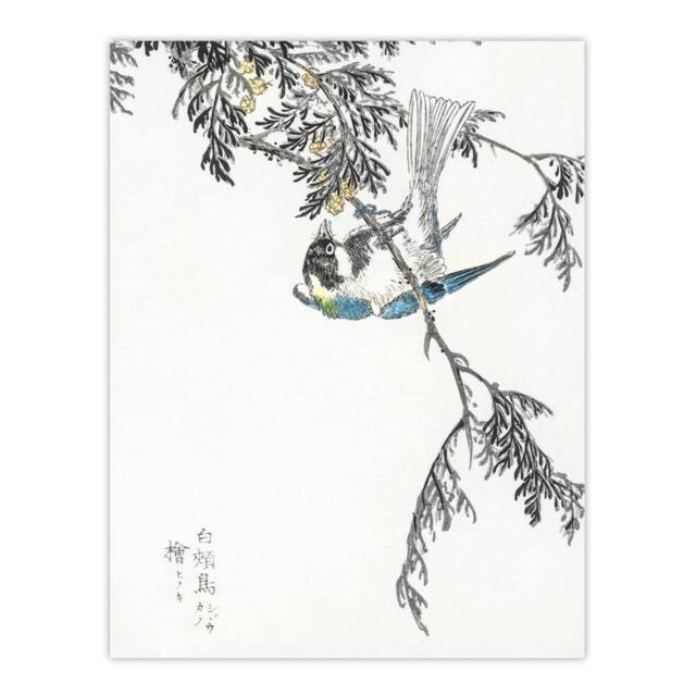 "Artery8 Great Tit & Cypress Japanese Japanese Wall Art Print Kashu - Size: W24"" x H32""" - image 1