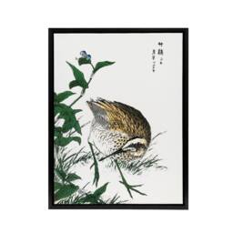 "Artery8 Greenshank & Bupleurum Japanese Framed Canvas Wall Art Print Kashu - Size: W24"" x H32""" - thumbnail 1