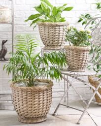 Traditional Style Set of Three French Woven Indoor Planters - thumbnail 1