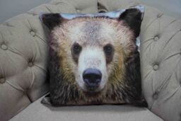 Rapport Home Muller Polyester Cushion Cover Multicolor (43x43) - Size: 43 cm x 43 cm - thumbnail 1