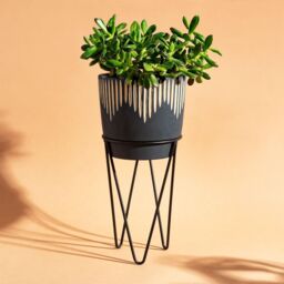Sass & Belle Black Sgrafitto Cement Planter With Wire Stand - thumbnail 3