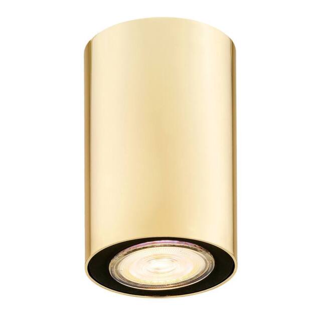 Netlighting Tyber Plus Surface Mounted Downlight Brass Steel in Gold - image 1