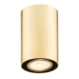 Netlighting Tyber Plus Surface Mounted Downlight Brass Steel in Gold - thumbnail 1