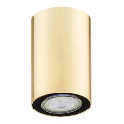Netlighting Tyber Plus Surface Mounted Downlight Brass Steel in Gold - thumbnail 2