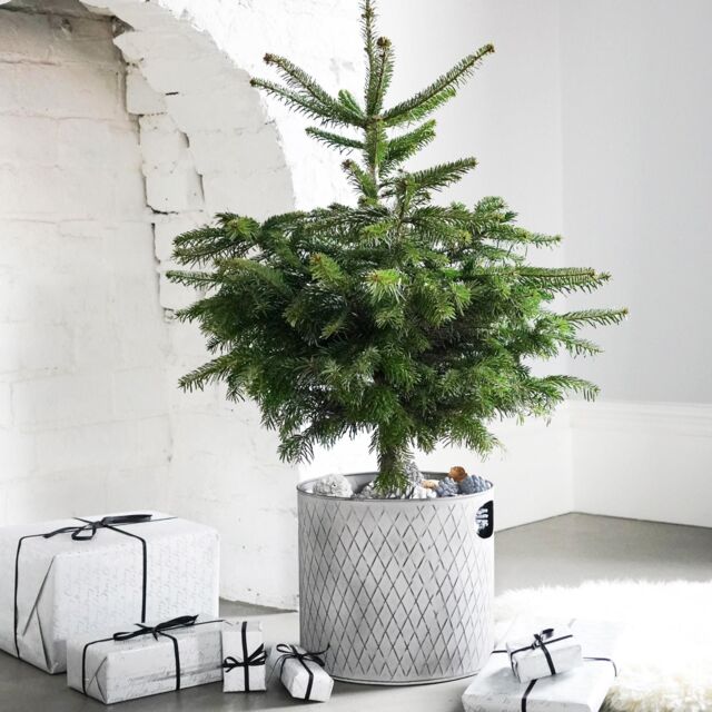 Ivyline Indoor Zinc Planter H28Cm W28Cm Dimensions: H28cm W28cm in Grey - image 1