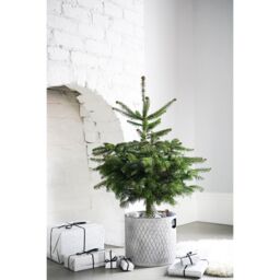 Ivyline Indoor Zinc Planter H28Cm W28Cm Dimensions: H28cm W28cm in Grey - thumbnail 2