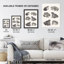 Artery8 Six Frogs & Toads Pencil Drawing Vintage Framed Wall Art Print Hoytema in White - Size: A4 - thumbnail 3