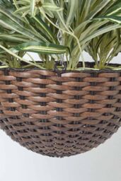Homescapes Artificial Hanging Basket Spider Plant, 60 cm in Green - thumbnail 4