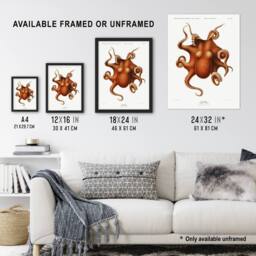 "Artery8 Octopus Vintage Illustration Carl Chun Wall Art Poster Print in White - Size: W12"" x H16""" - thumbnail 3