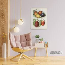 "Artery8 Plum Varieties Vintage illustration Wright Canvas Wall Art Print in White - Size: W12"" x H16""" - thumbnail 3