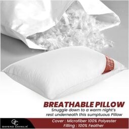 GAVENO CAVAILIA 2 Pack Feather Luxury Pillow Set in White - thumbnail 4
