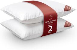 GAVENO CAVAILIA 2 Pack Feather Luxury Pillow Set in White
