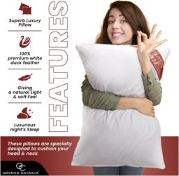 GAVENO CAVAILIA 2 Pack Feather Luxury Pillow Set in White - thumbnail 3