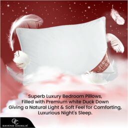 GAVENO CAVAILIA 2 Pack Feather Luxury Pillow Set in White - thumbnail 6