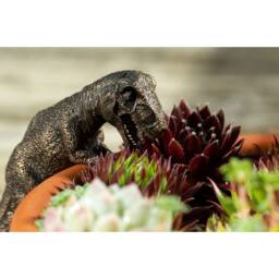 Jardinopia Tyranasaurus Rex Plant Pot Hanger in Bronze - thumbnail 3