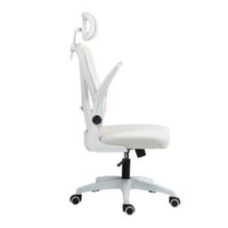 FLAVORA Beige-Ergonomic Office Chair High Back in Beige - Size: 0.6m2 - thumbnail 4