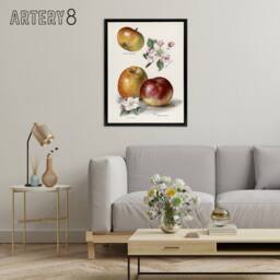 "Artery8 King of Pippins Apple Vintage Illustration Wright Framed Canvas Art in White - Size: W18"" x H24""" - thumbnail 3