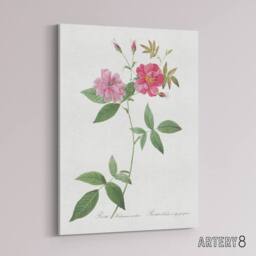 "Artery8 Hudson Rosehip Botanical Redoute Vintage Canvas Wall Art in White - Size: W24"" x H32""" - thumbnail 2