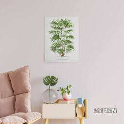 "Artery8 Rhapis Flabelliformis Palm Tree Kerchove Canvas Wall Art Print in White - Size: W12"" x H16""" - thumbnail 3