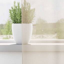 Berkfield Home Voile Curtains with Tab Top 2 pcs Cream