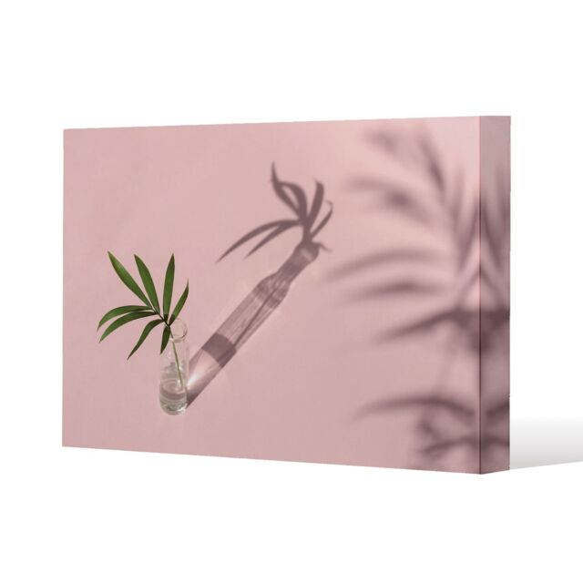 Benjamin Tate Design Botanical leaf on pink (Canvas Print) / 61 x 41 x 4cm in Natural - Size: 61 x 41 x 4 cm - image 1