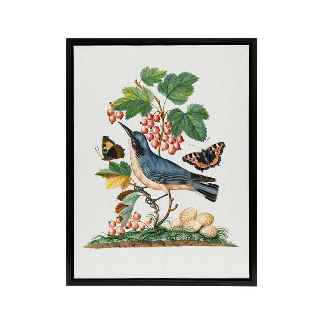 "Artery8 Warbler Bird & Red Admiral Butterfly Bolton Framed Canvas Wall Art in White - Size: W12"" x H16""" - image 1