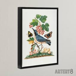 "Artery8 Warbler Bird & Red Admiral Butterfly Bolton Framed Canvas Wall Art in White - Size: W12"" x H16""" - thumbnail 2