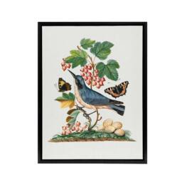 "Artery8 Warbler Bird & Red Admiral Butterfly Bolton Framed Canvas Wall Art in White - Size: W12"" x H16""" - thumbnail 1
