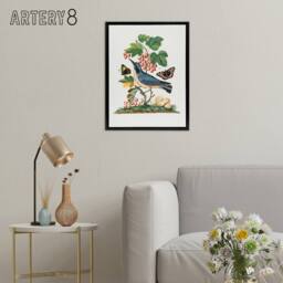 "Artery8 Warbler Bird & Red Admiral Butterfly Bolton Framed Canvas Wall Art in White - Size: W12"" x H16""" - thumbnail 3