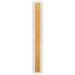Wyld and Coco Outdoor LED Wall Light Gold 60 cm - Steel Frame with Acrylic Diffuser - thumbnail 4