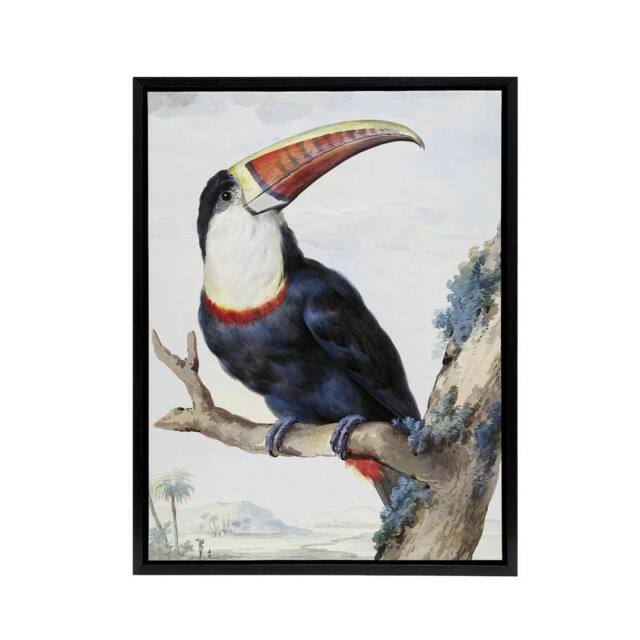 "Artery8 Red Billed Toucan Bird Painting Schouman Framed Canvas Wall Art Print in White - Size: W12"" x H16""" - image 1