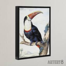 "Artery8 Red Billed Toucan Bird Painting Schouman Framed Canvas Wall Art Print in White - Size: W12"" x H16""" - thumbnail 2
