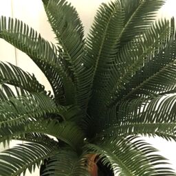 Leaf 70cm Artificial Tropical Cycas Palm Plant in Green - thumbnail 2