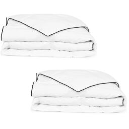 Berkfield Home Winter Down Duvet 2 pcs 135x200 cm in White