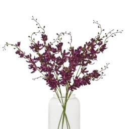 Lemon Pavilion Furniture and Decor Cymbidium Spray (Single Stem Flower) - L10 x W24 x H95 cm - Purple - thumbnail 3