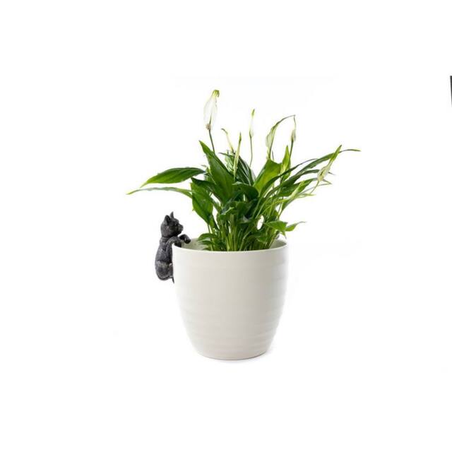 Jardinopia Cat Plant Pot Hanger - L11.5 x W5 x H5.5 cm in Bronze - image 1