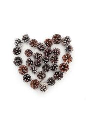 Living and Home 30Pcs Real Pine Cone Christmas Tree Hanging Ornament in Brown - thumbnail 2
