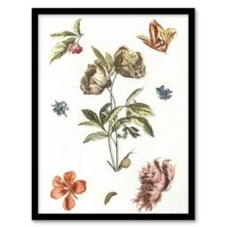 Artery8 Flowers Snail & a Caterpillar Johan Teyler Framed Wall Art Print in White - Size: A4 - thumbnail 1