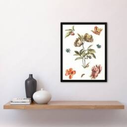 Artery8 Flowers Snail & a Caterpillar Johan Teyler Framed Wall Art Print in White - Size: A4 - thumbnail 2