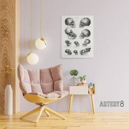 "Artery8 Human Monkey & Ape Skulls Visser Vintage Canvas Wall Art in White - Size: W18"" x H24""" - thumbnail 3