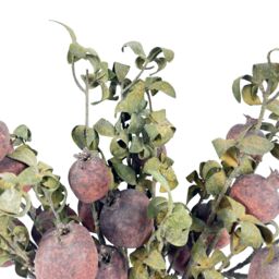 Leaf Artificial Floral Foliage Stem Pomegranate Realistic 75cm Pack of 6 in Red - thumbnail 6